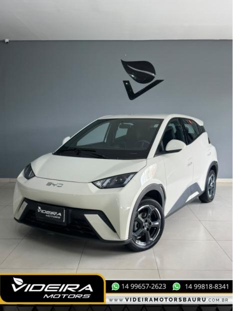 BYD Dolphin Mini 38 KW EL�TRICO GS, Foto 1