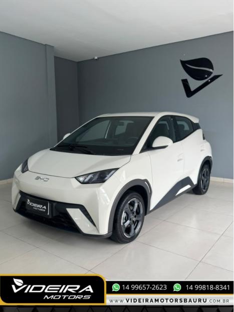 BYD Dolphin Mini 38 KW EL�TRICO GS, Foto 4