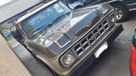 CHEVROLET D10 4.0 DIESEL CUSTOM DE LUXE CABINE SIMPLES, Foto 5