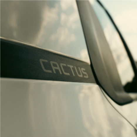 CITROEN C4 Cactus 1.6 16V 4P VTI 120 FLEX FEEL AUTOMTICO, Foto 15