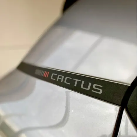 CITROEN C4 Cactus 1.6 16V 4P FLEX SHINE PACK THP TURBO AUTOMTICO, Foto 4