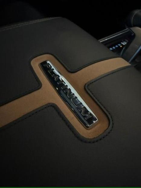 FORD F-150 5.0 V8 24V FX4 PLATINUM CABINE DUPLA AUTOM�TICO, Foto 18