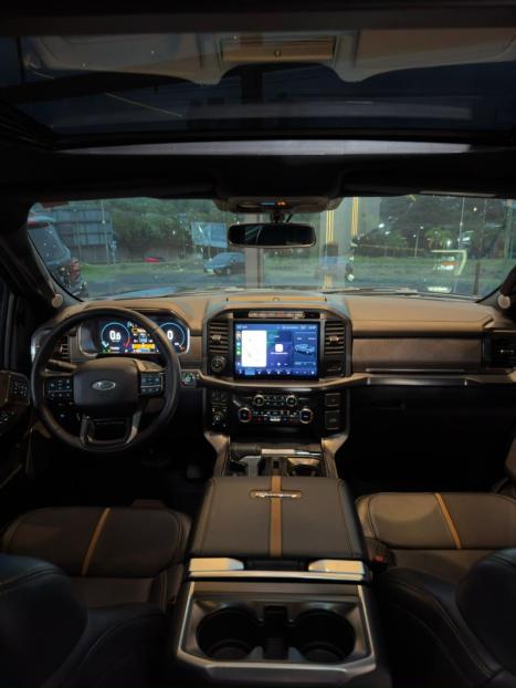 FORD F-150 5.0 V8 24V FX4 PLATINUM CABINE DUPLA AUTOM�TICO, Foto 19