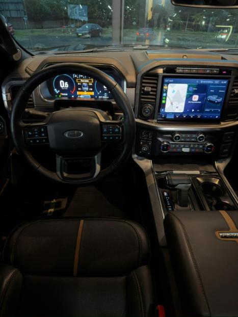 FORD F-150 5.0 V8 24V FX4 PLATINUM CABINE DUPLA AUTOM�TICO, Foto 20