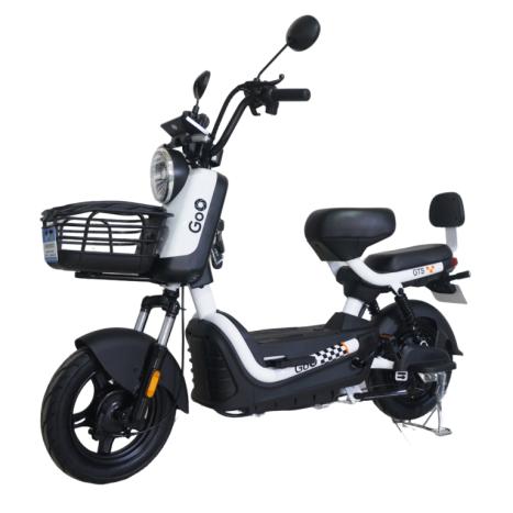 GoO ELÉTRICOS GTS 1000W, Foto 10