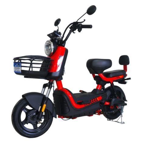 GoO ELÉTRICOS GTS 1000W, Foto 15