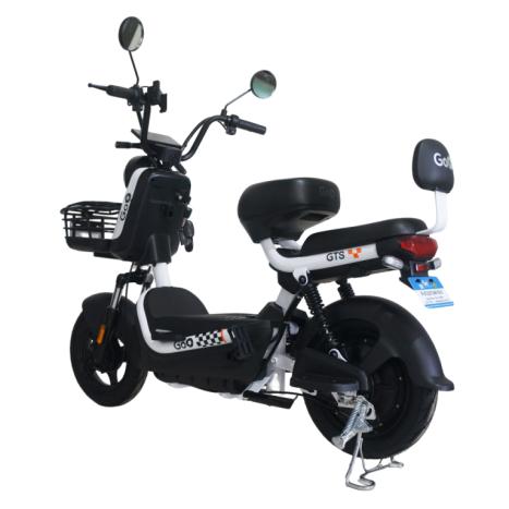 GoO ELÉTRICOS GTS 1000W, Foto 19