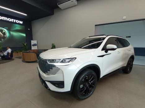 GWM Haval H6 1.5 16V 4P HEV PREMIUM E-TRACTION AUTOM�TICO, Foto 1