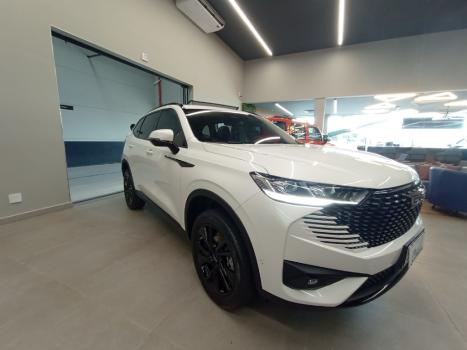 GWM Haval H6 1.5 16V 4P HEV PREMIUM E-TRACTION AUTOM�TICO, Foto 3