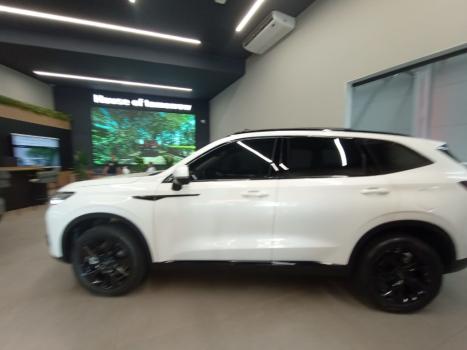 GWM Haval H6 1.5 16V 4P HEV PREMIUM E-TRACTION AUTOM�TICO, Foto 8