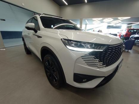 GWM Haval H6 1.5 16V 4P HEV PREMIUM E-TRACTION AUTOM�TICO, Foto 3