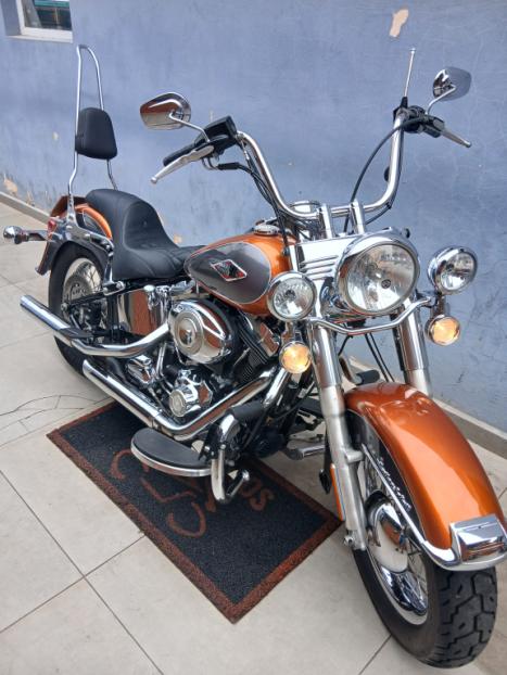 HARLEY DAVIDSON Softail Heritage Classic 1600, Foto 3