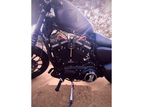 HARLEY DAVIDSON Sportster XL 883 IRON, Foto 4