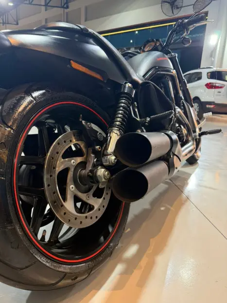 HARLEY DAVIDSON V-Rod 1250 MUSCLE, Foto 13