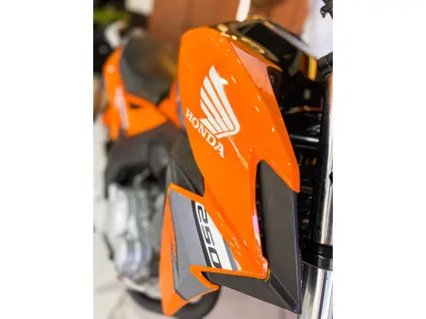 HONDA CB 250 F Twister FLEXONE, Foto 6