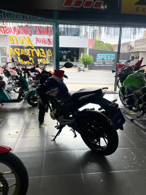 HONDA CB 250 F Twister FLEXONE, Foto 4