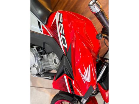 HONDA CB 250 F Twister FLEXONE, Foto 8