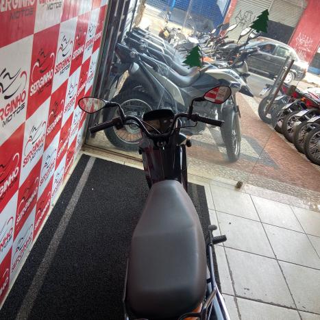 HONDA POP 100 , Foto 7