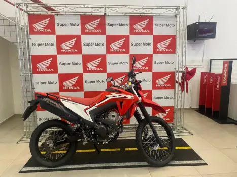 HONDA XR 300 L Tornado , Foto 3