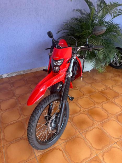 HONDA XR 300 L Tornado , Foto 2