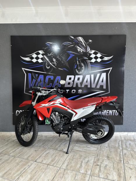 HONDA XR 300 L Tornado , Foto 2
