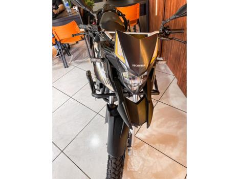 HONDA XRE 300 ADVENTURE, Foto 4