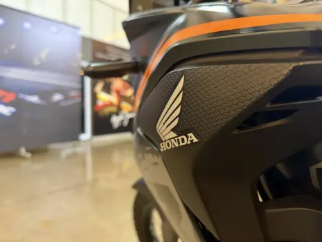 HONDA XRE 300 ADVENTURE, Foto 6