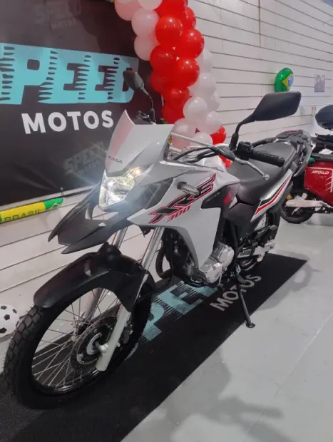 HONDA XRE 300 ADVENTURE, Foto 5