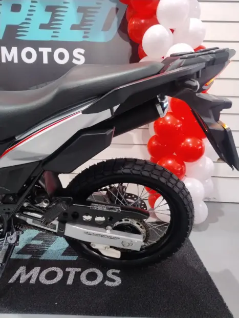 HONDA XRE 300 ADVENTURE, Foto 6