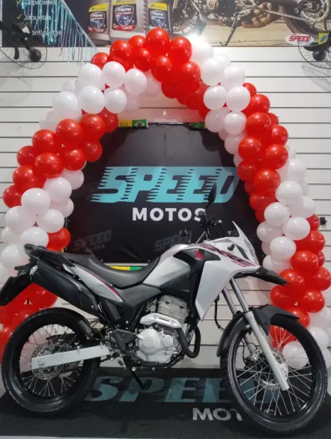 HONDA XRE 300 ADVENTURE, Foto 9
