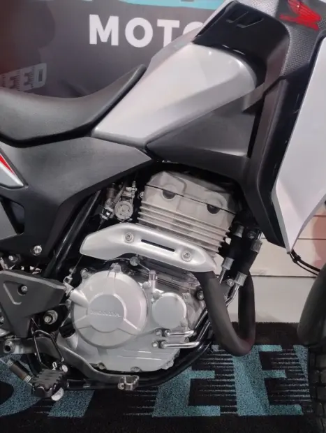 HONDA XRE 300 ADVENTURE, Foto 11