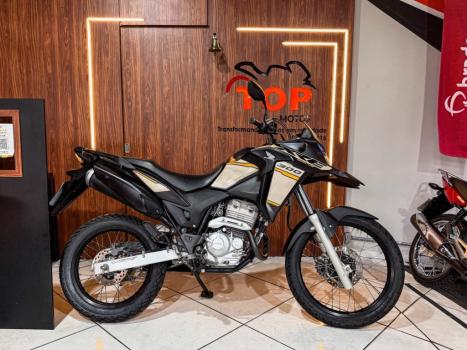 HONDA XRE 300 ADVENTURE, Foto 1