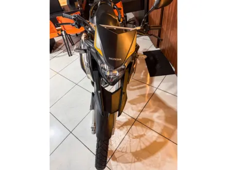 HONDA XRE 300 ADVENTURE, Foto 4