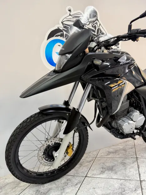 HONDA XRE 300 FLEX, Foto 6