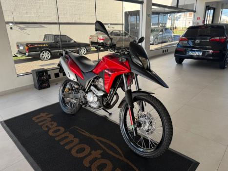 HONDA XRE 300 FLEX, Foto 1