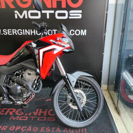 HONDA XRE 300 FLEX, Foto 3