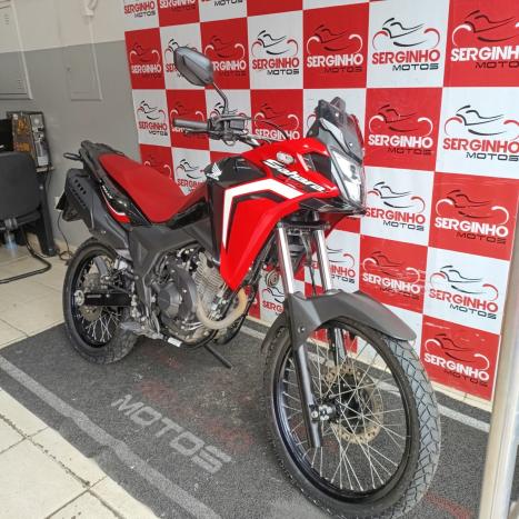 HONDA XRE 300 RALLY ABS, Foto 3