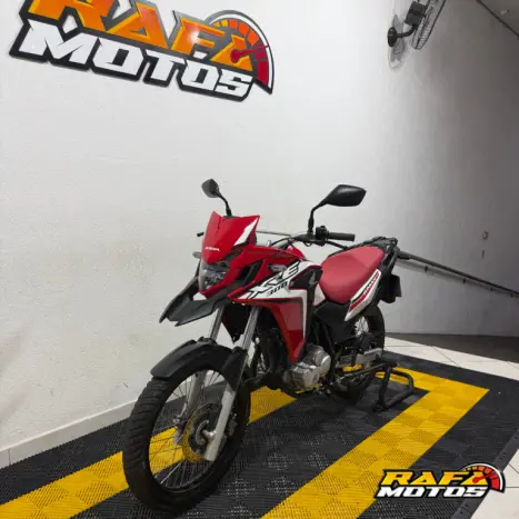HONDA XRE 300 RALLY ABS, Foto 3