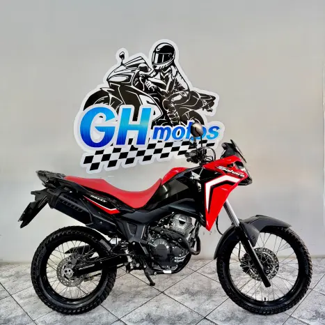HONDA XRE 300 RALLY ABS, Foto 1