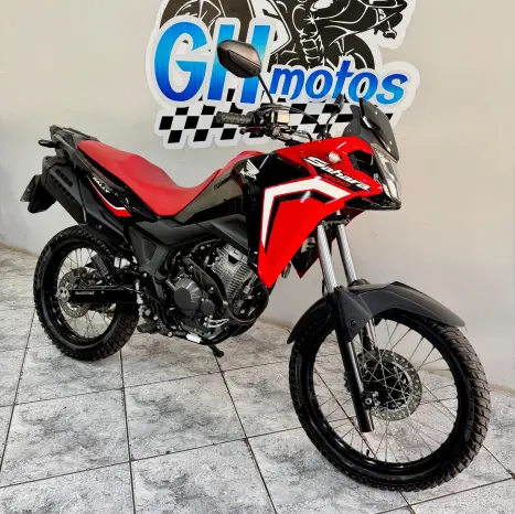 HONDA XRE 300 RALLY ABS, Foto 3
