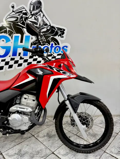 HONDA XRE 300 RALLY ABS, Foto 3