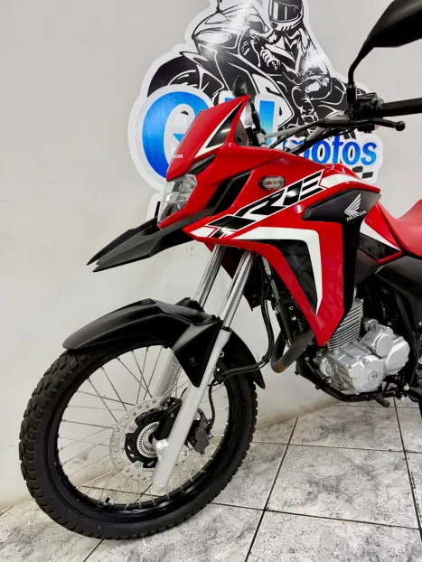 HONDA XRE 300 RALLY ABS, Foto 7