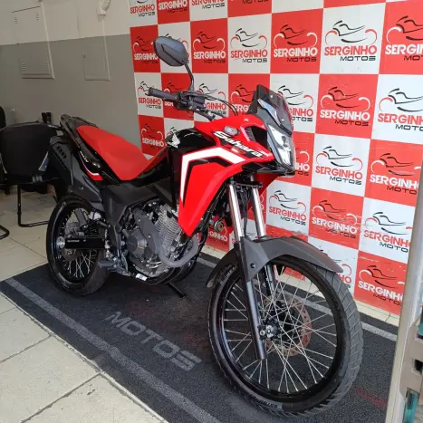 HONDA XRE 300 RALLY ABS, Foto 4