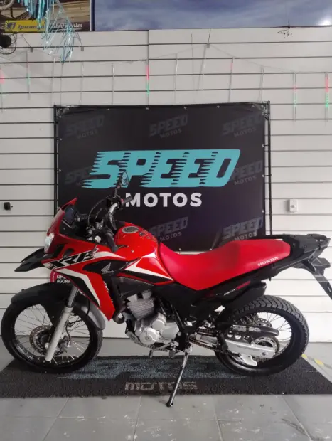 HONDA XRE 300 RALLY ABS, Foto 2