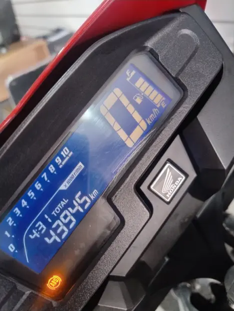 HONDA XRE 300 RALLY ABS, Foto 3