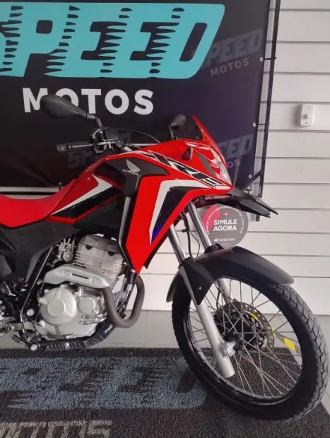 HONDA XRE 300 RALLY ABS, Foto 10