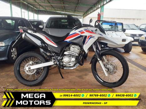 HONDA XRE 300 RALLY ABS, Foto 1