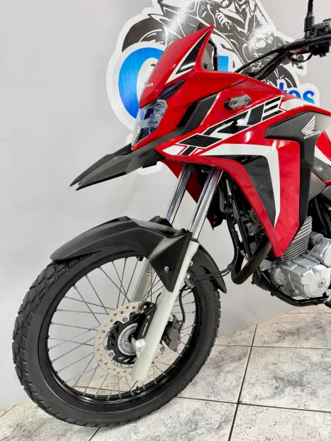 HONDA XRE 300 RALLY ABS, Foto 6