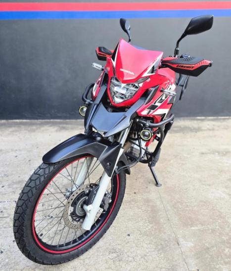 HONDA XRE 300 RALLY ABS, Foto 3