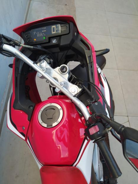 HONDA XRE 300 RALLY ABS, Foto 2